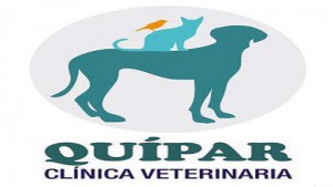 clinica-quipar